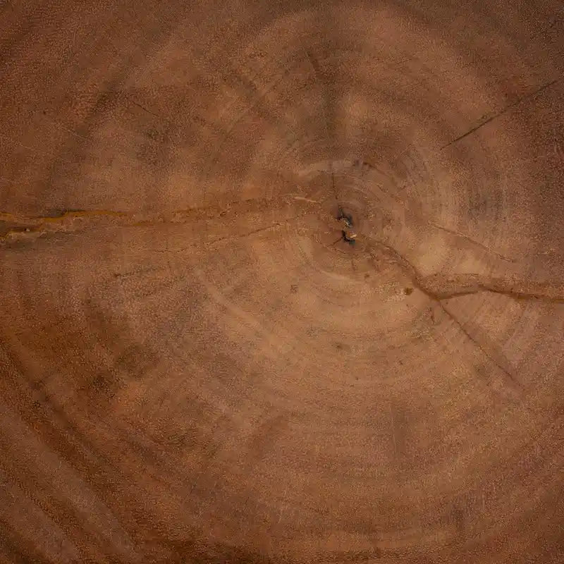 Tavolino finale in legno di Suar intagliato a mano, marrone naturale, stile scultoreo, per 1 persona