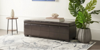 SAFAVIEH Kerrie Brown Bicast Leather/Wood Storage Bench - 46.9 x 18.3 x 16.7 - 47Wx18Dx17H